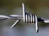 barbed wire